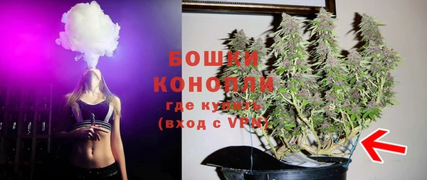 не бодяженный Гусиноозёрск