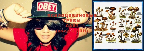 не бодяженный Гусиноозёрск