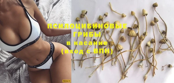 не бодяженный Гусиноозёрск