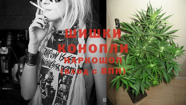 не бодяженный Гусиноозёрск