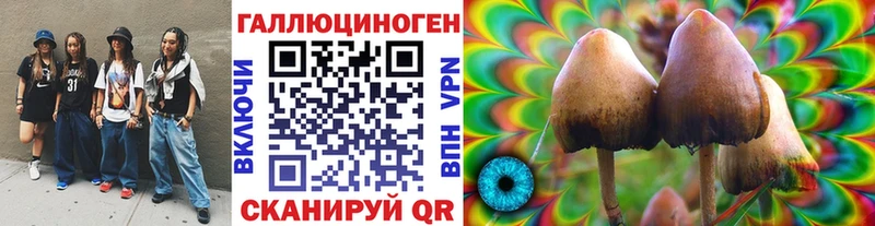 Купить  Краснокамск  Галлюциногенные грибы GOLDEN TEACHER 